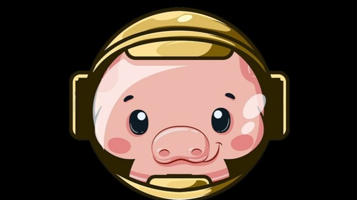 Pig Coin Benimsenmesi Kullanım Alanları