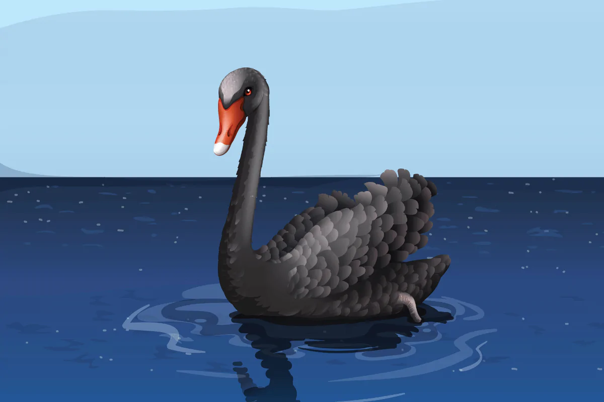 Kripto Dünyasında Potansiyel Black Swan Eventler