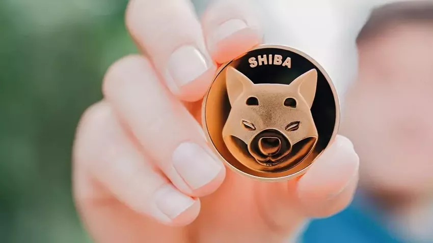 Shiba Coin'in En Yüksek Değerine Etki Eden Faktörler