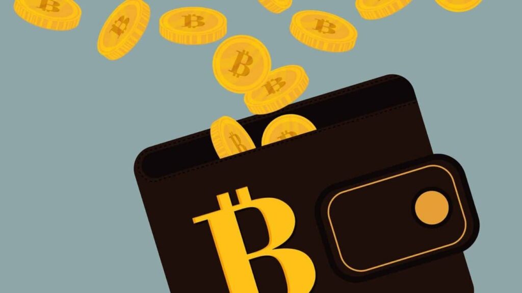 Bitcoin Cüzdanı Seçerken Nelere Dikkat Etmek Gerekir