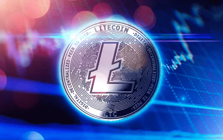 litecoin kullanım alanları