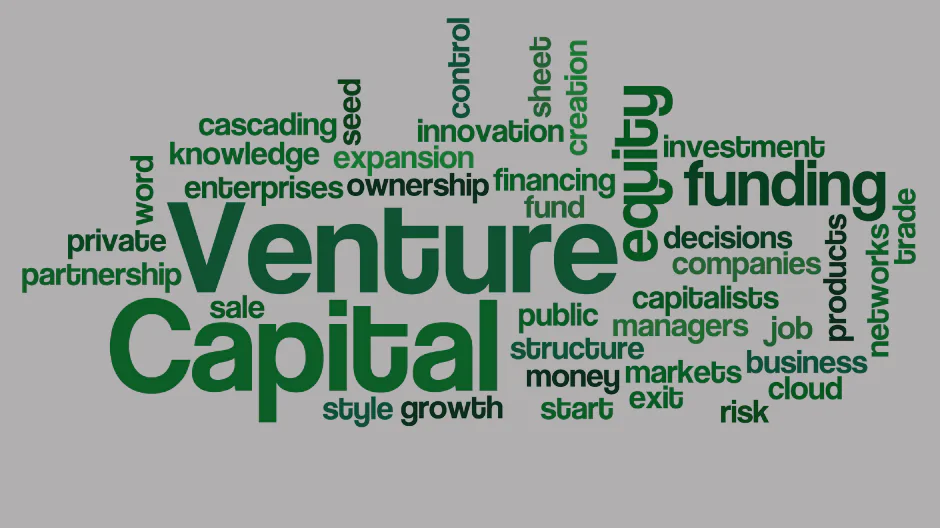 Venture Capital'in Geleceği